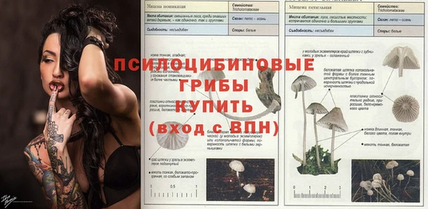 ешки Горнозаводск