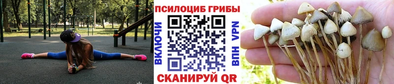 Купить где Спас-Клепики Галлюциногенные грибы прущие грибы